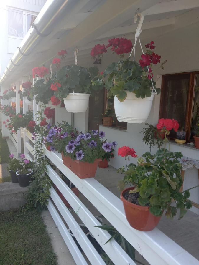 Cazare Turism Prislop Hotel Hátszeg Kültér fotó