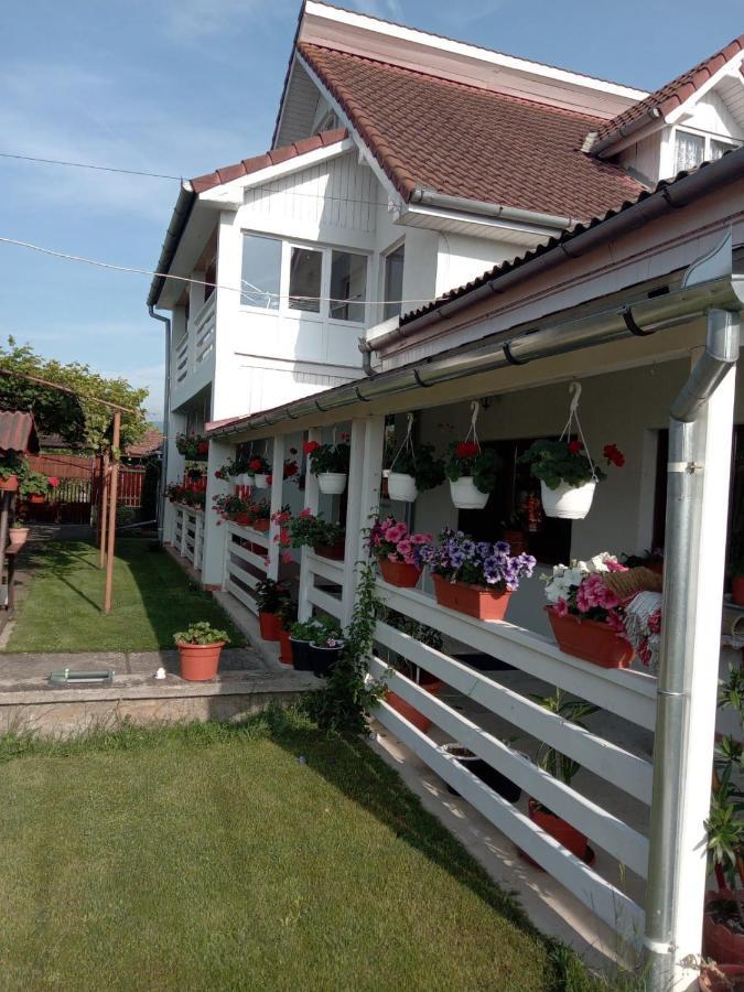 Cazare Turism Prislop Hotel Hátszeg Kültér fotó